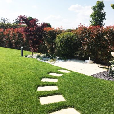 Gallery 12 | Open Garden