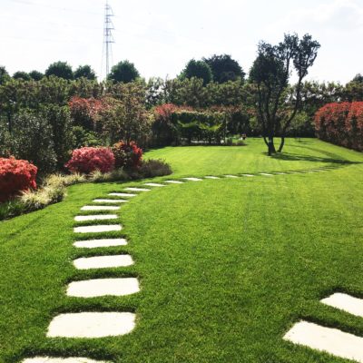 Gallery 12 | Open Garden